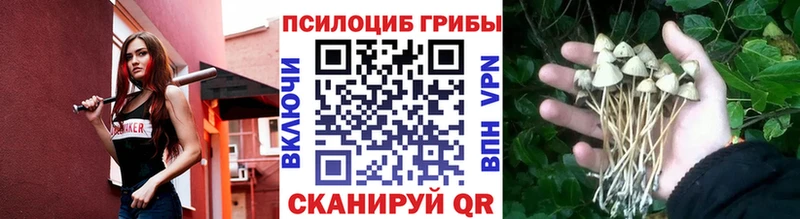 Псилоцибиновые грибы мицелий  Урень 